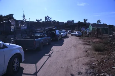 DSC_2115 (Large).JPG